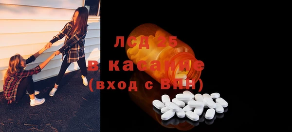 ГАЛЛЮЦИНОГЕННЫЕ ГРИБЫ Ельня