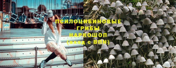 ГАЛЛЮЦИНОГЕННЫЕ ГРИБЫ Ельня