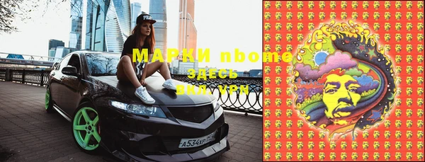 ГАЛЛЮЦИНОГЕННЫЕ ГРИБЫ Ельня