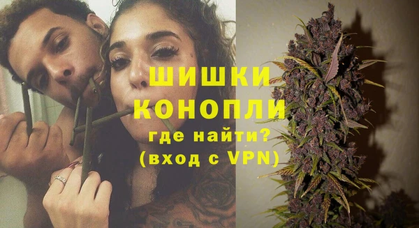 ГАЛЛЮЦИНОГЕННЫЕ ГРИБЫ Ельня