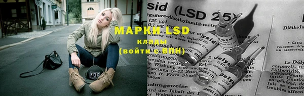 ГАЛЛЮЦИНОГЕННЫЕ ГРИБЫ Ельня
