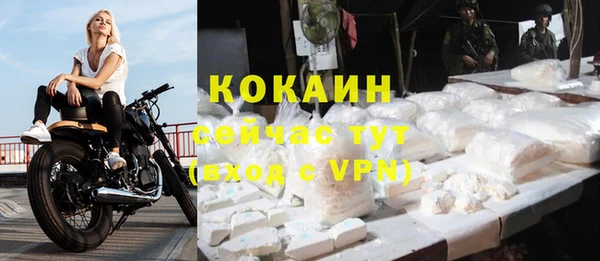 ГАЛЛЮЦИНОГЕННЫЕ ГРИБЫ Ельня