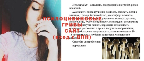 ECSTASY Дмитровск